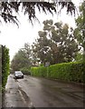 Elmlea Avenue in the rain