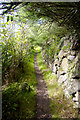 Coastal Path near St Loy