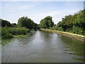 Grand Union Canal: Reach in Giffard Park