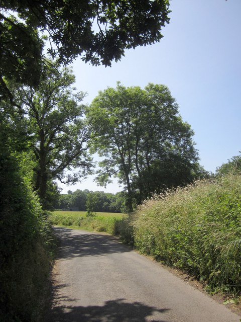 Lane to Drayford