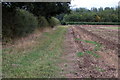 Path into Sheepwalks Spinney