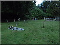 Sherrington Churchyard at twilight (I)