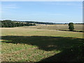 Wolds farmland