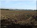 Ploughed field