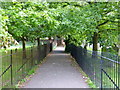 Footpath through the churchyard, Faversham