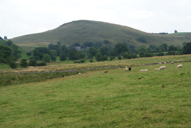 Sheep near Beresford Dale