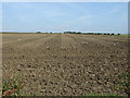 Ploughed field, Furzehills