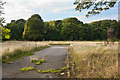 Derelict land shields Childwall Golf Course from view