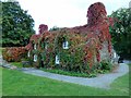 Llanrwst Tea Rooms