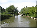 Grand Union Canal: Reach between Downhead Park and Willen Park