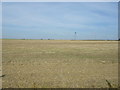 Farmland, West Ashby