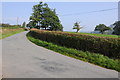 Country road near Glanrhyd, Aberhafesp