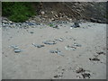 Part of Porthbean Beach