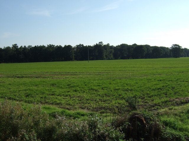 Farmland off Tumby Lane