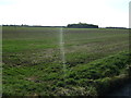 Farmland, Hough Bridge