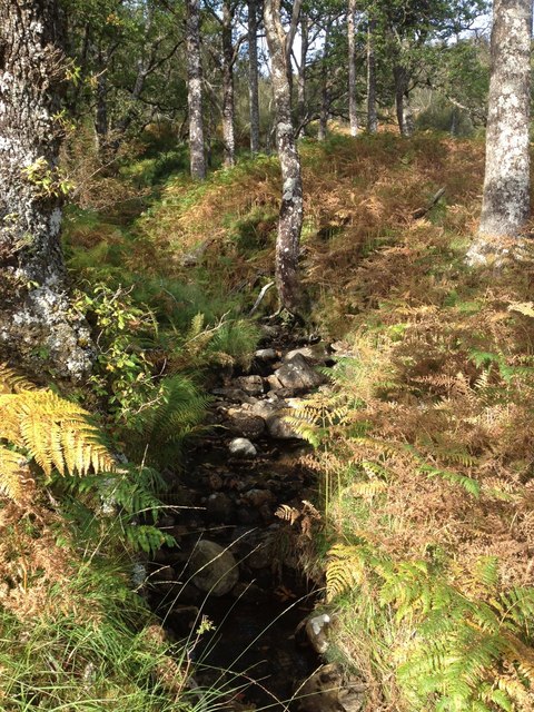 Small stream near Loch Shiel