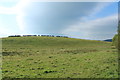 Farmland near Dalhowan