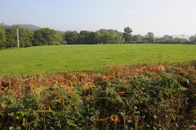 Farmland near Bwlch-y-Ffridd