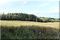 Farmland & Woodland near Cullochknowes