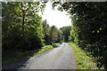 Road to Glentrool near Cullochknowes