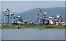 J3678 : The 'Conmar Elbe' at Belfast by Rossographer