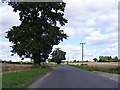 TG1813 : Drayton Lane, Drayton by Geographer