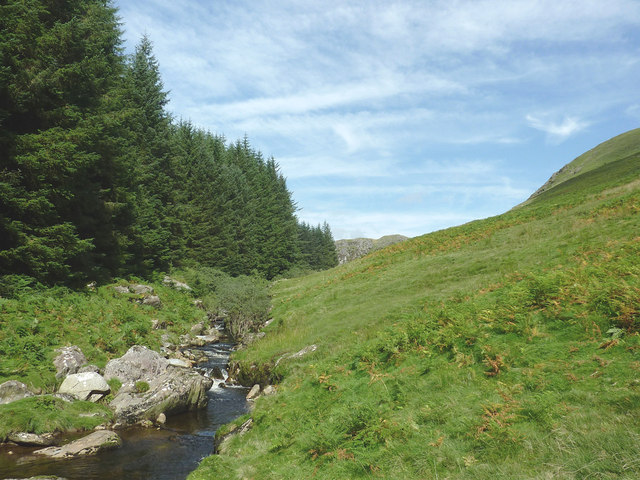 Forest, river and moorland by Bryn Du, Powys