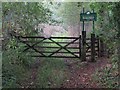 Entrance from Glan-Rhyd Road into Glan-rhyd Plantation