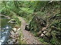 Path and fallen tree in Cwm Du Glen