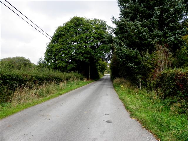 Road near Derrinkeher (McDonnell)