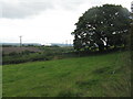 Farmland at Little Wenlock