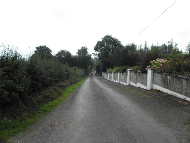 Road at Greaghglass