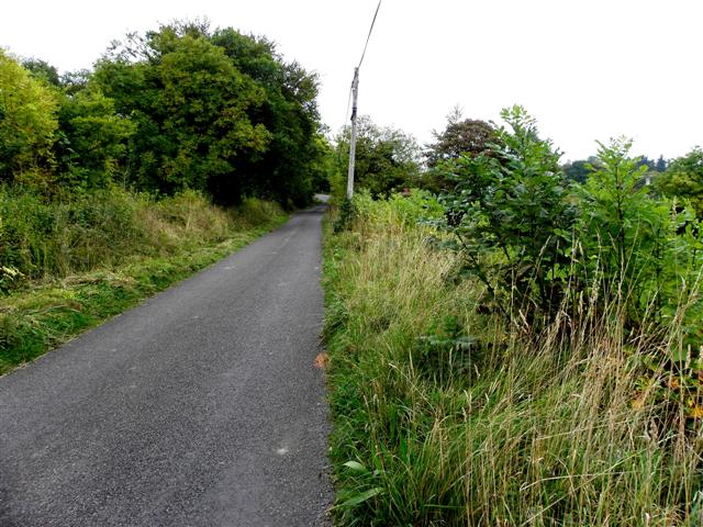 Road at Kiltynashinnagh
