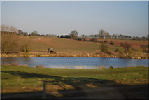SJ8531 : Pond by Meece Brook by N Chadwick