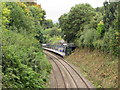 Railway line near Cultra Station