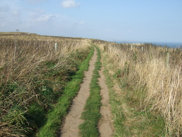 Headland Way path, Bempton Cliffs 
