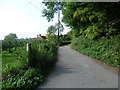 Lane near Sutton Valence