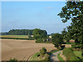 View from Bure Valley Railway