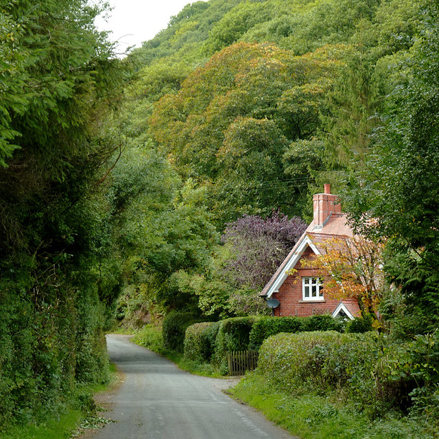 The lane to Abergwesyn, Powys