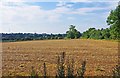 A field near Spennells, Kidderminster