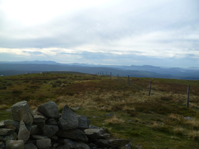 On Moel Sych