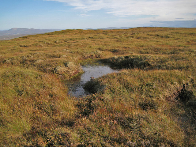 boggy-area-on-the-moor-richard-dorrell-cc-by-sa-2-0-geograph-britain-and-ireland