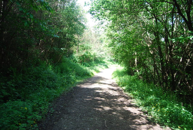 Footpath, Lower Leggett's Wood