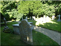 SY5292 : St Michael, Askerswell: churchyard (b) by Basher Eyre
