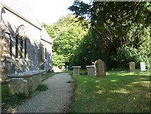 SY5292 : St Michael, Askerswell: churchyard (g) by Basher Eyre