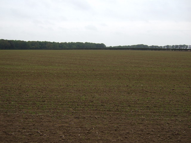 Farmland off Church Lane