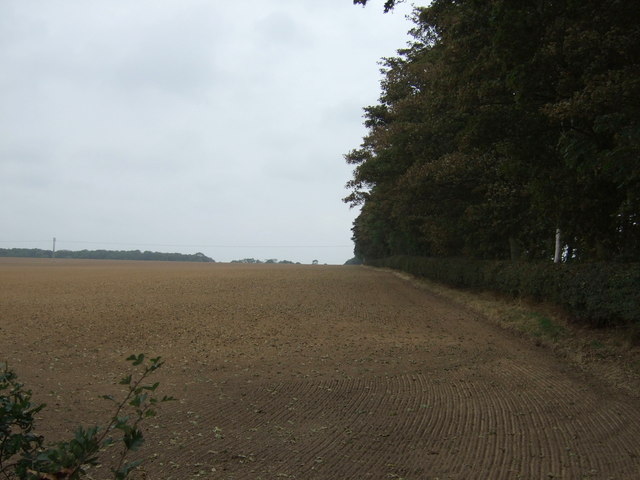 Farmland beside bridleway