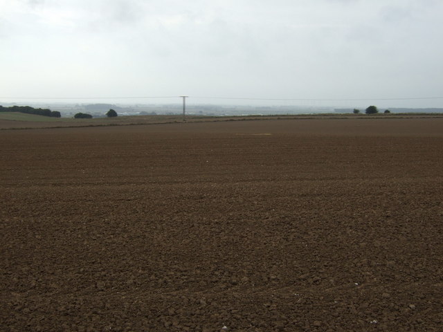 Farmland, Haisthorpe Field