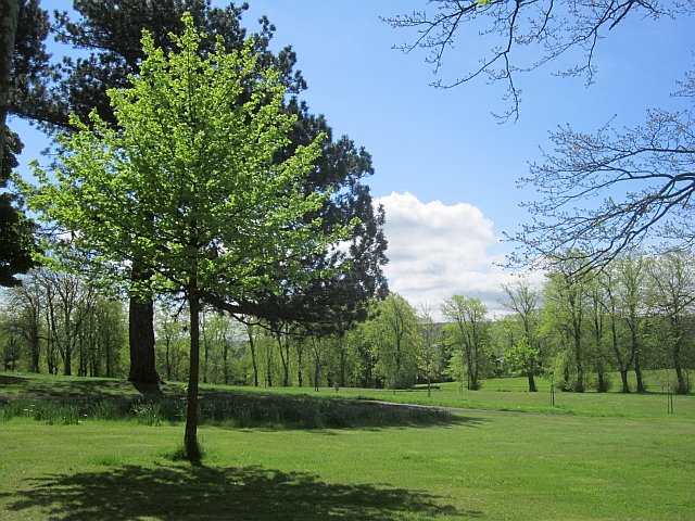 Brodie Park Paisley Richard Webb cc by sa 2.0 Geograph