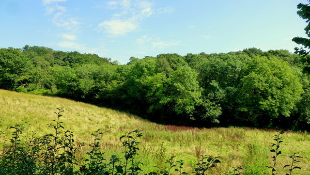 Rough grazing land